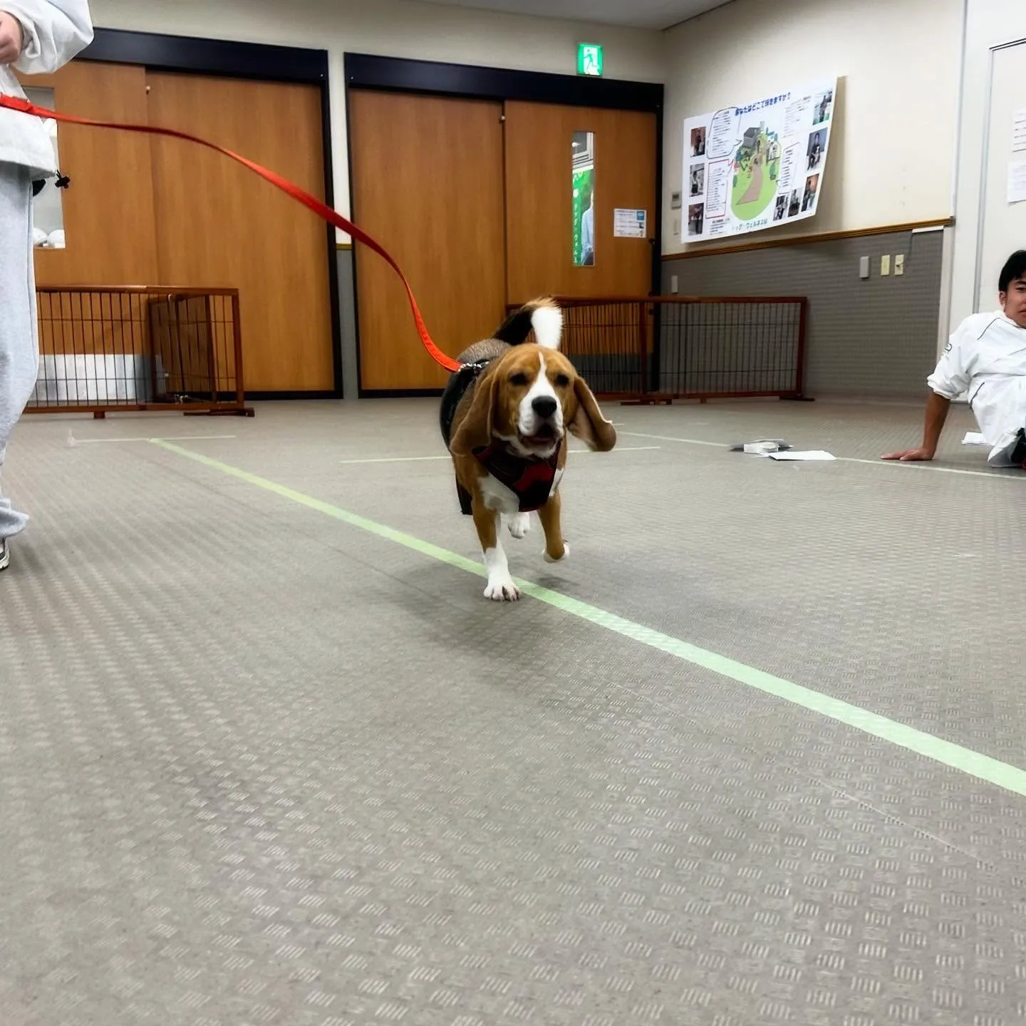 一昨日の専門学校day🏫