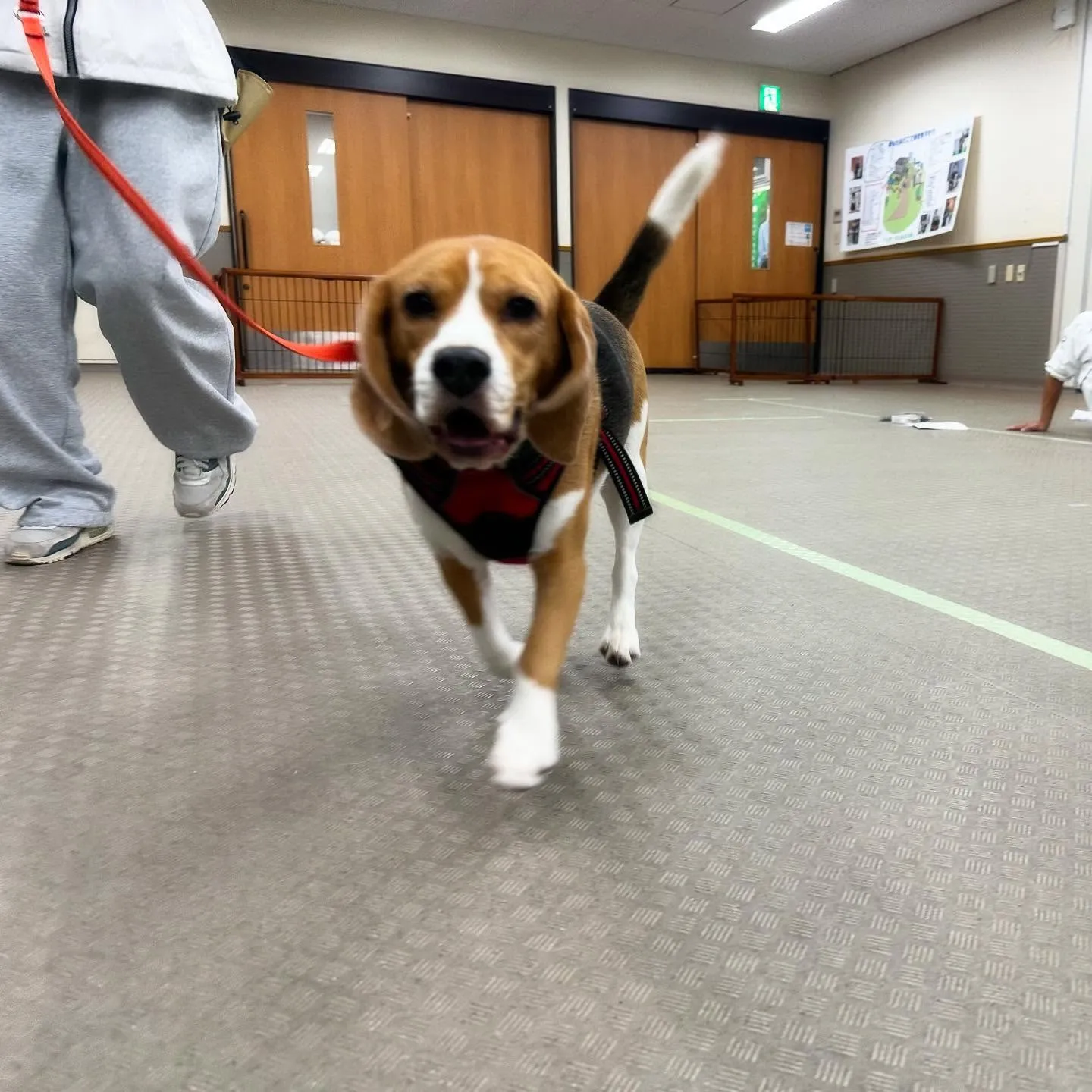 一昨日の専門学校day🏫