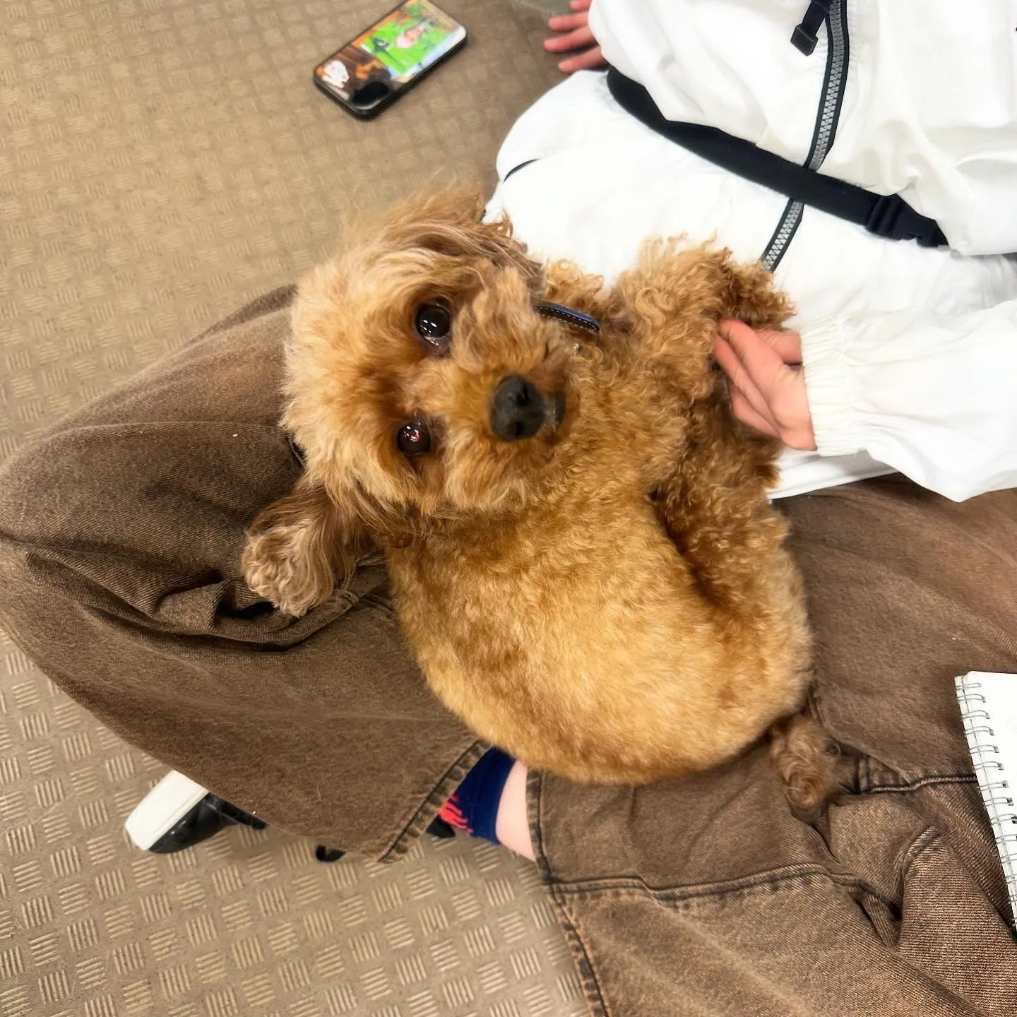 一昨日の専門学校day🏫