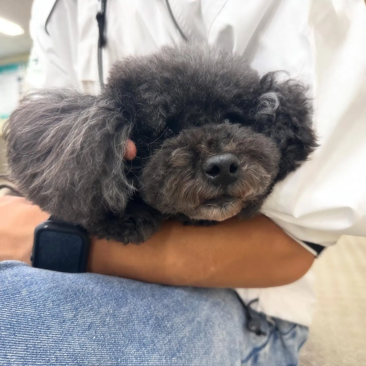 一昨日の専門学校day🏫