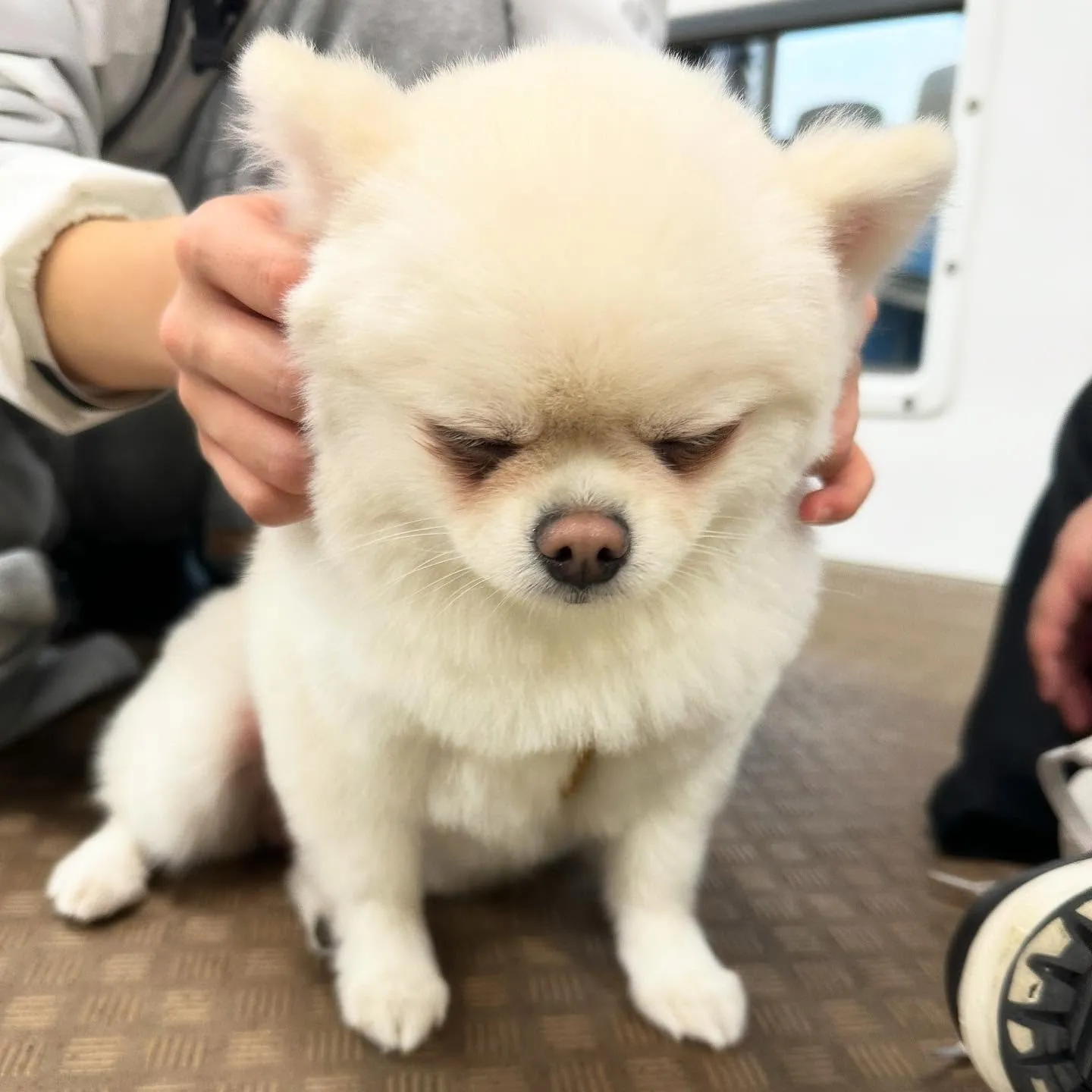 一昨日の専門学校day🏫