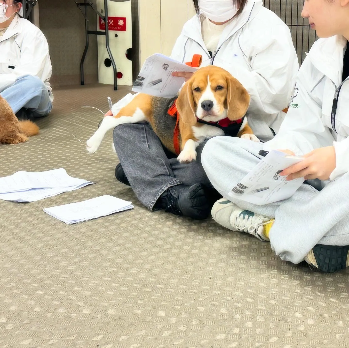 一昨日の専門学校day🏫