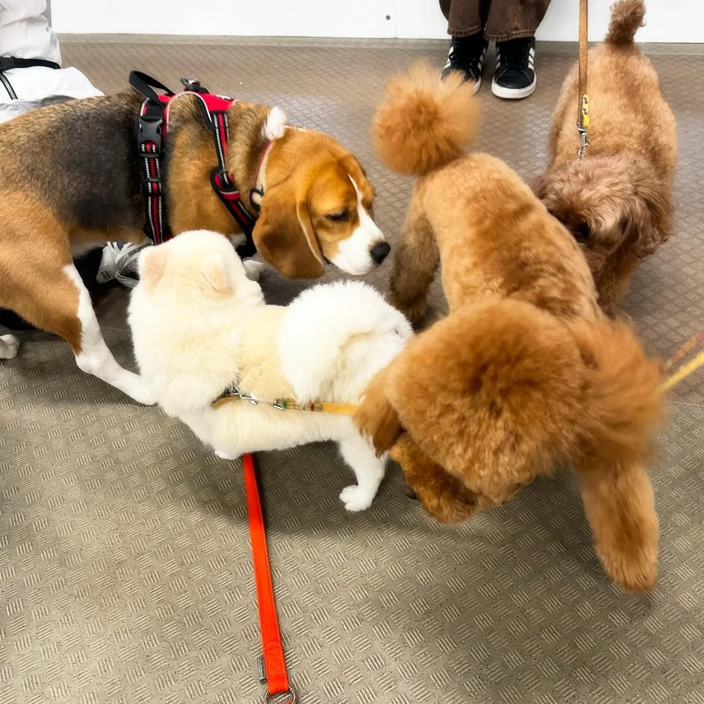 一昨日の専門学校day🏫