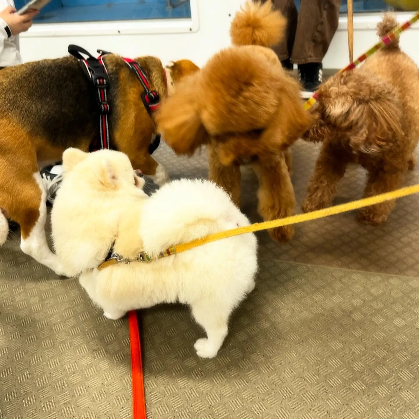 一昨日の専門学校day🏫