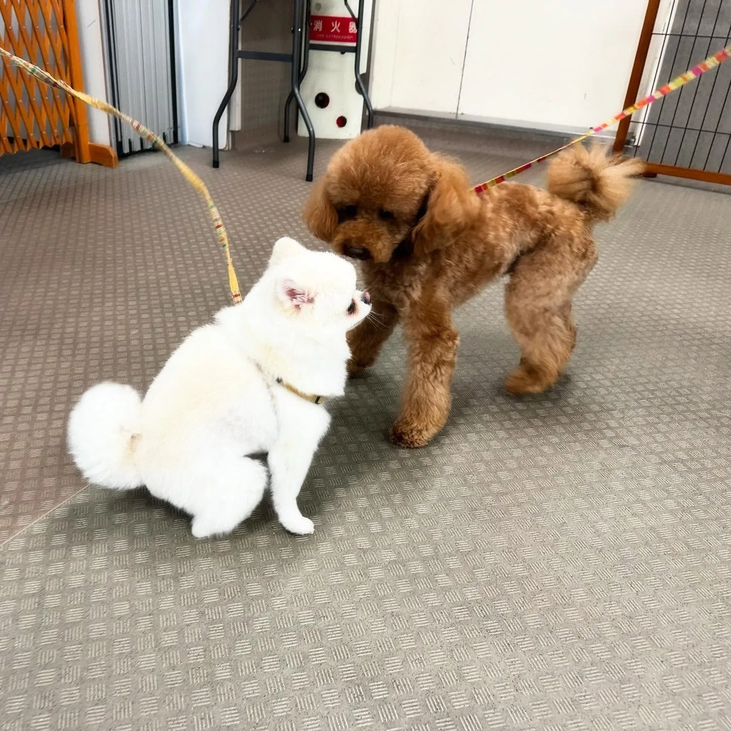 一昨日の専門学校day🏫