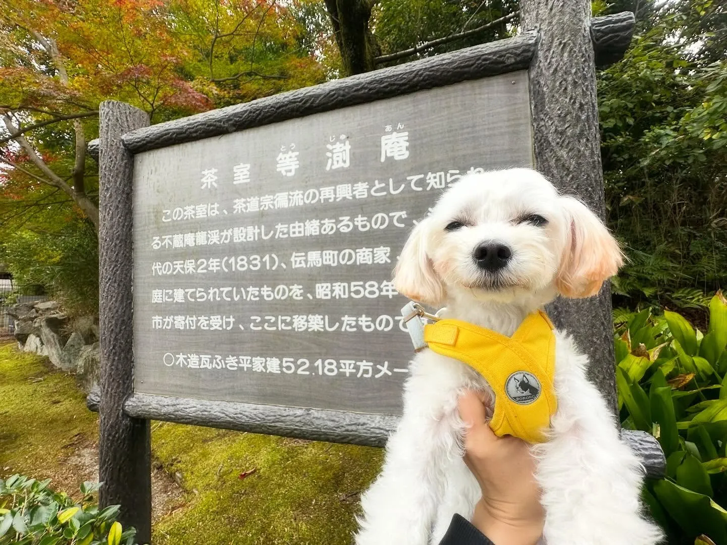 ハロウィンアルバムが作り終わったので、