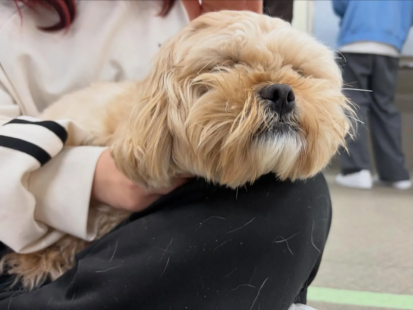 今日は専門学校dayでした🏫