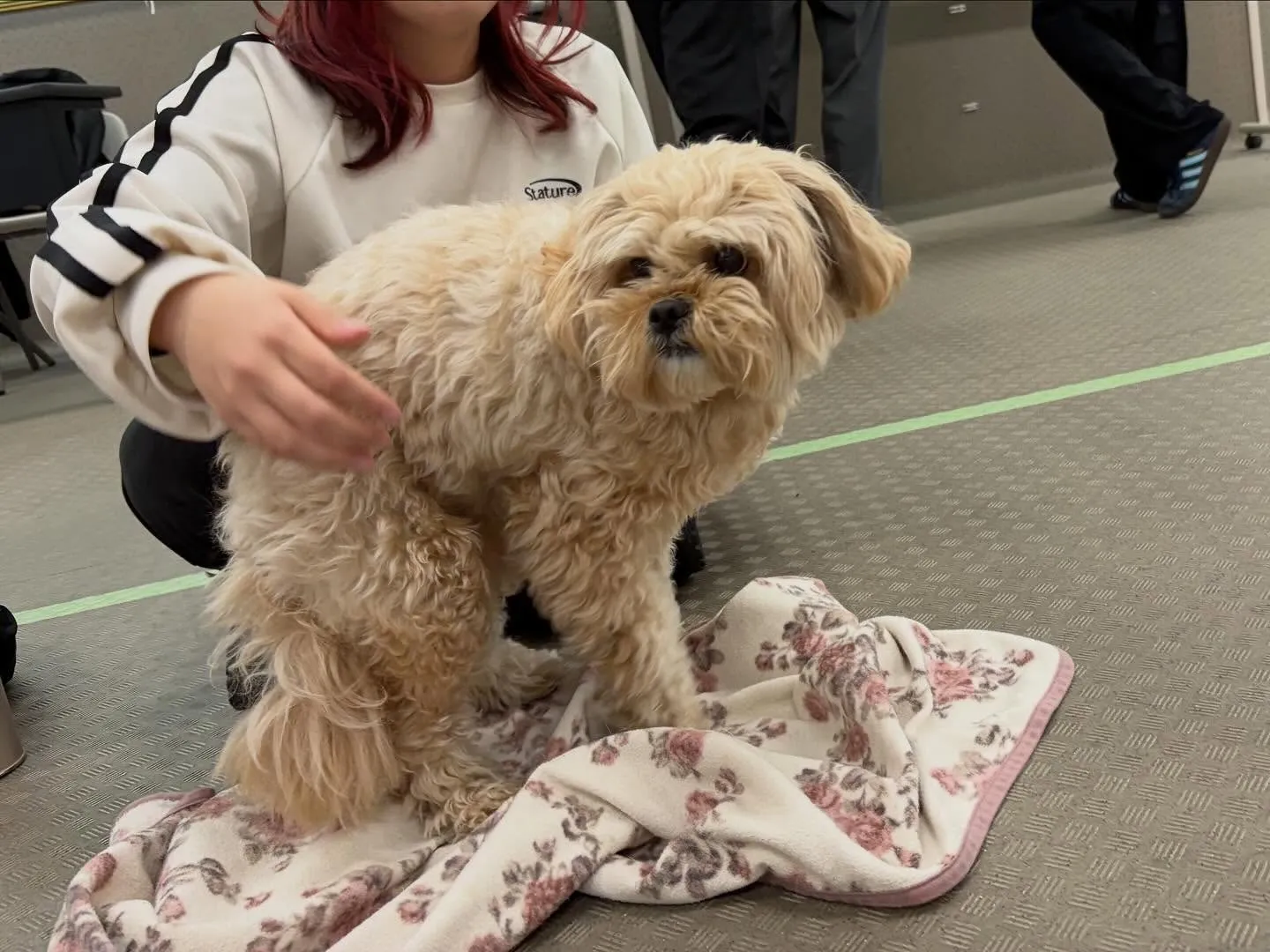 今日は専門学校dayでした🏫