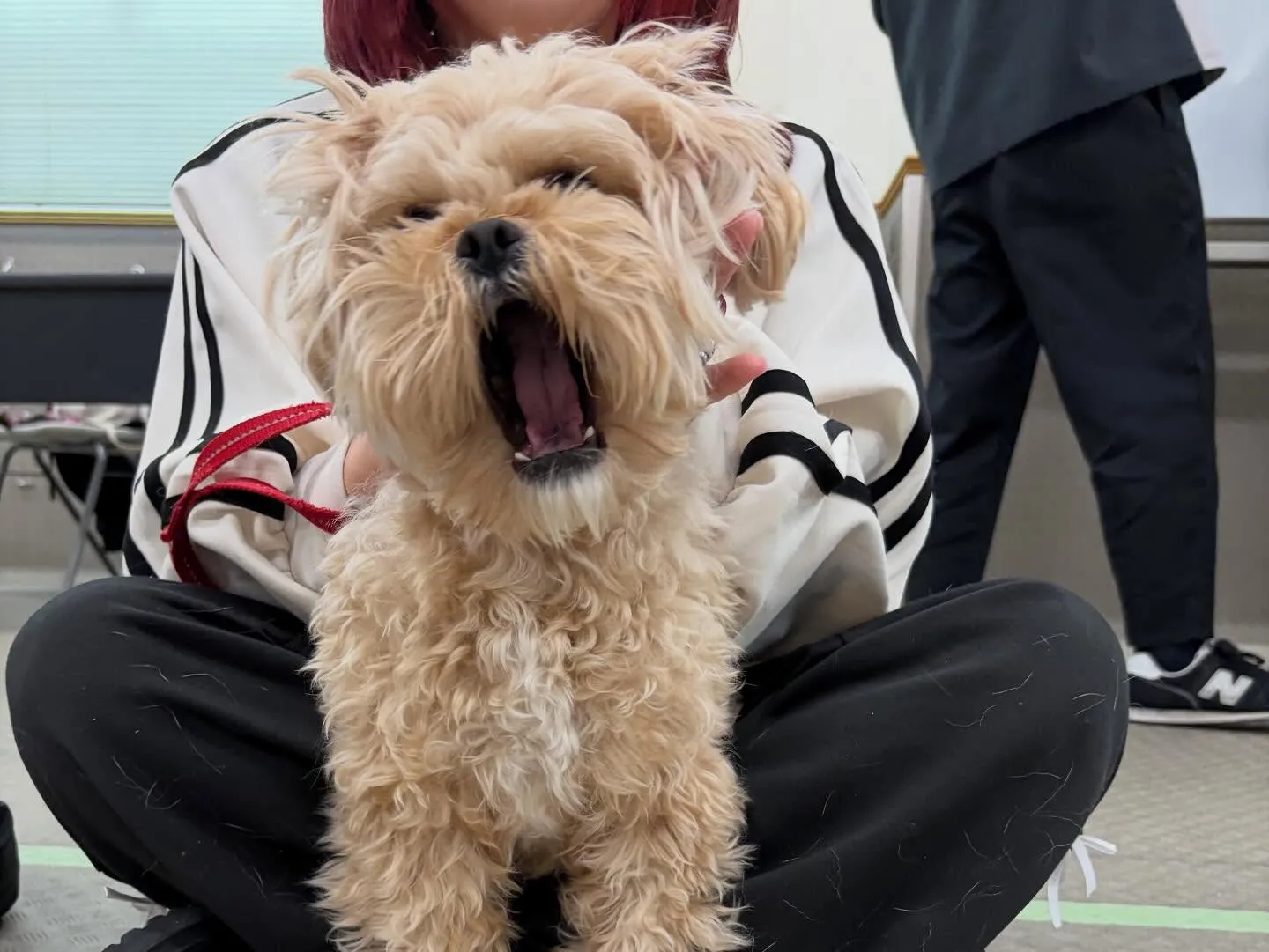 今日は専門学校dayでした🏫