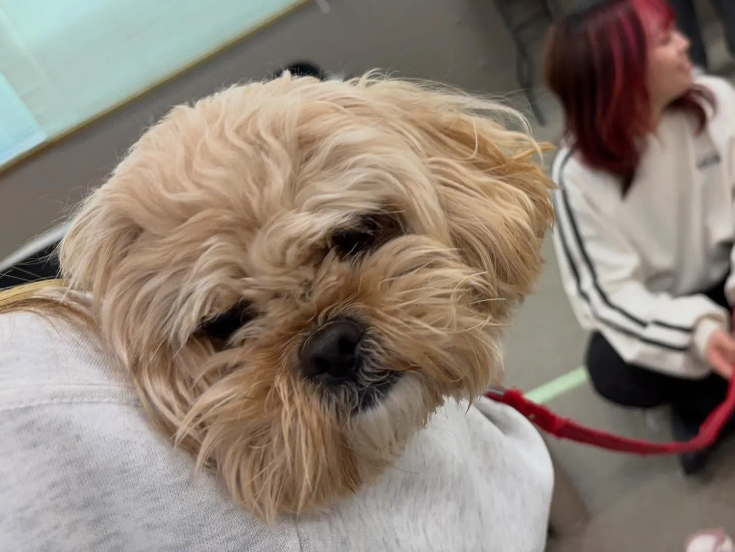 今日は専門学校dayでした🏫