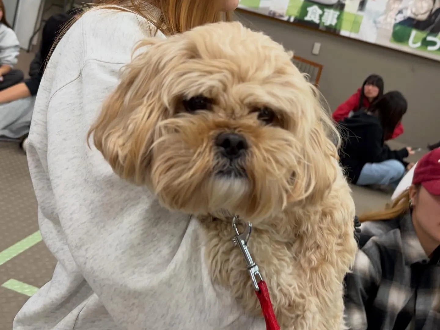 今日は専門学校dayでした🏫