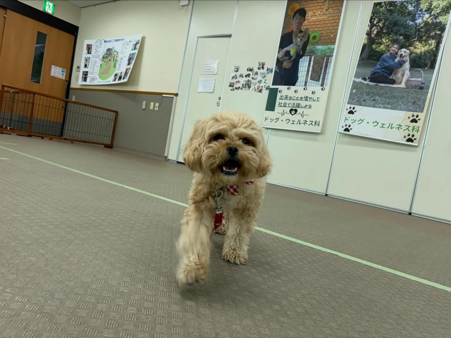 今日は専門学校dayでした🏫