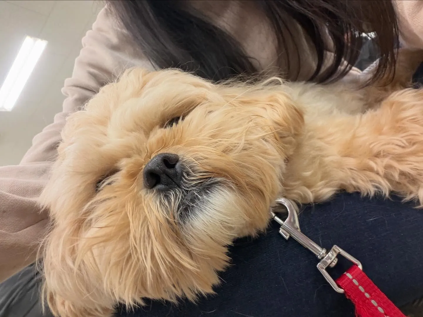 今日は専門学校dayでした🏫