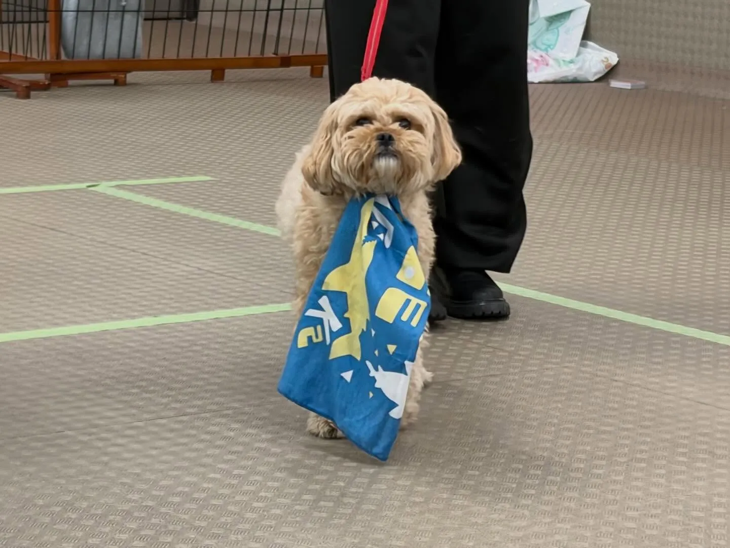 今日は専門学校dayでした🏫