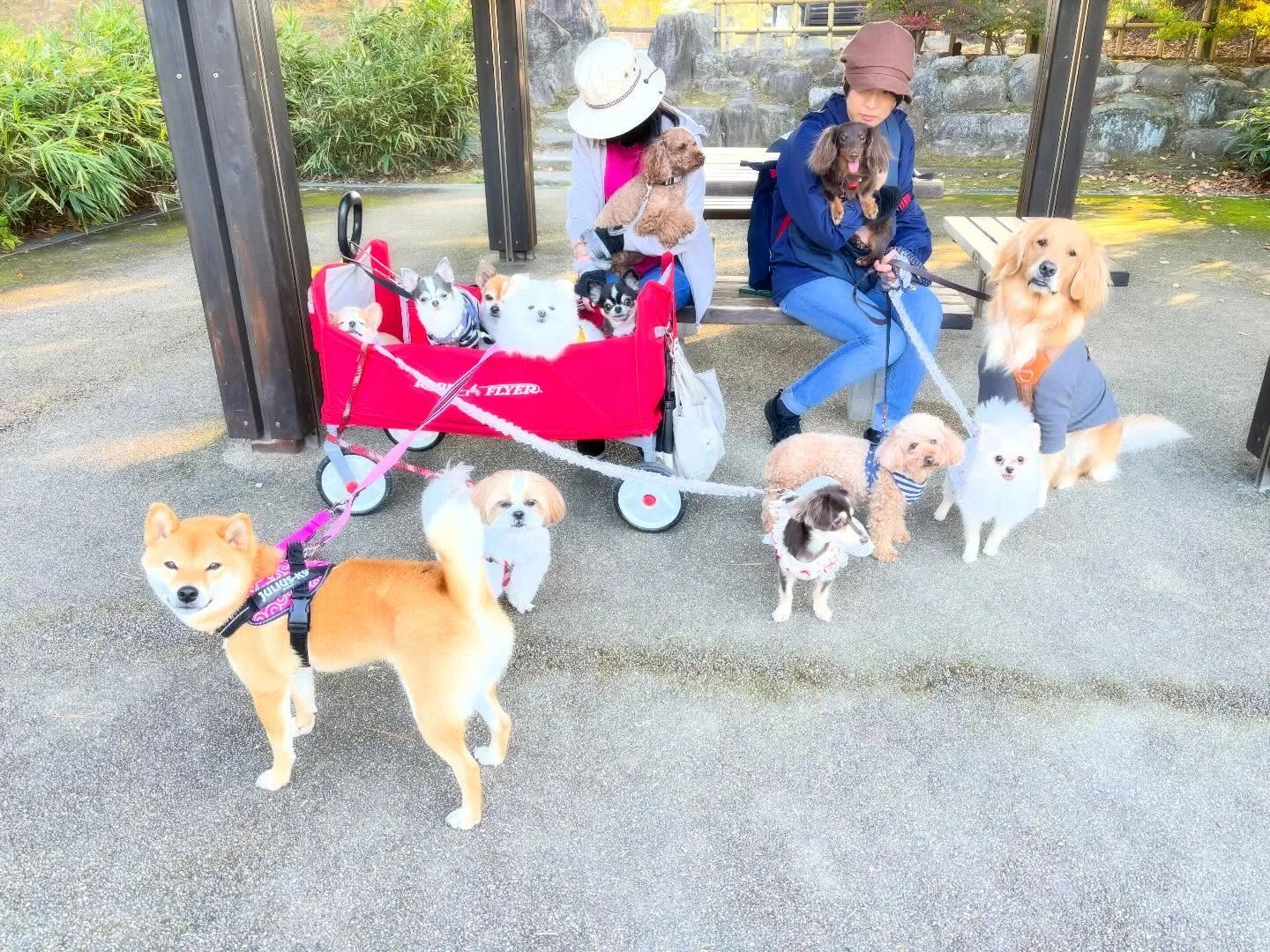 遅くなってしまったけど、、