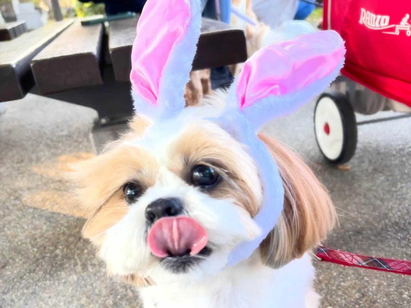 遅くなってしまったけど、、