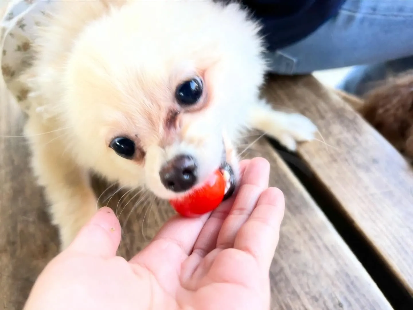 遅くなってしまったけど、、