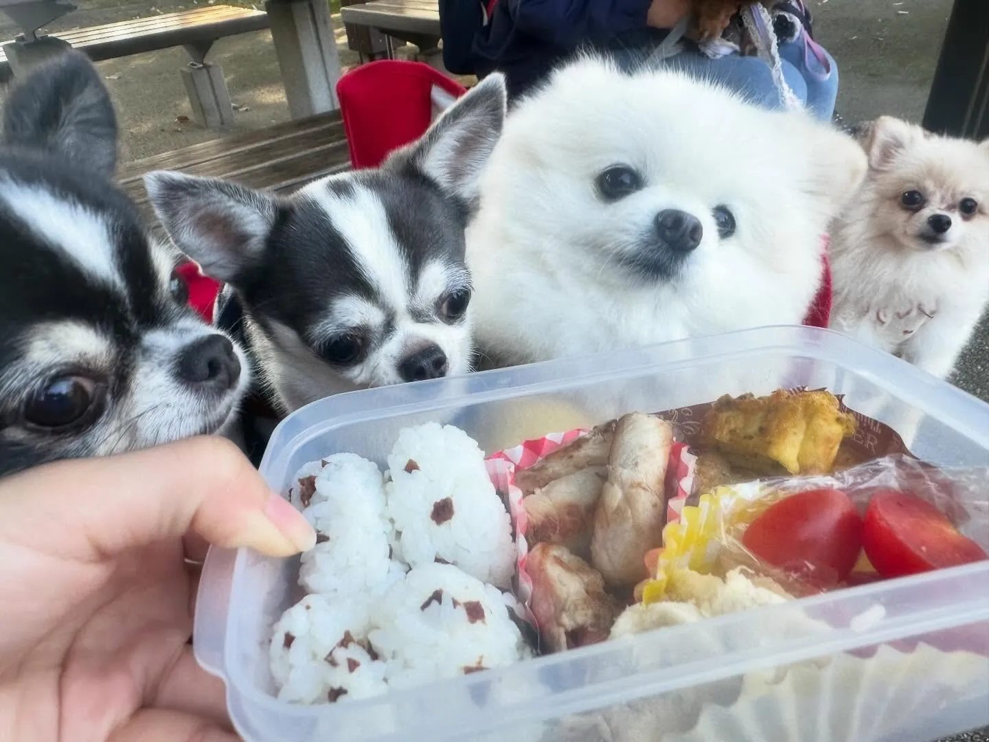 遅くなってしまったけど、、