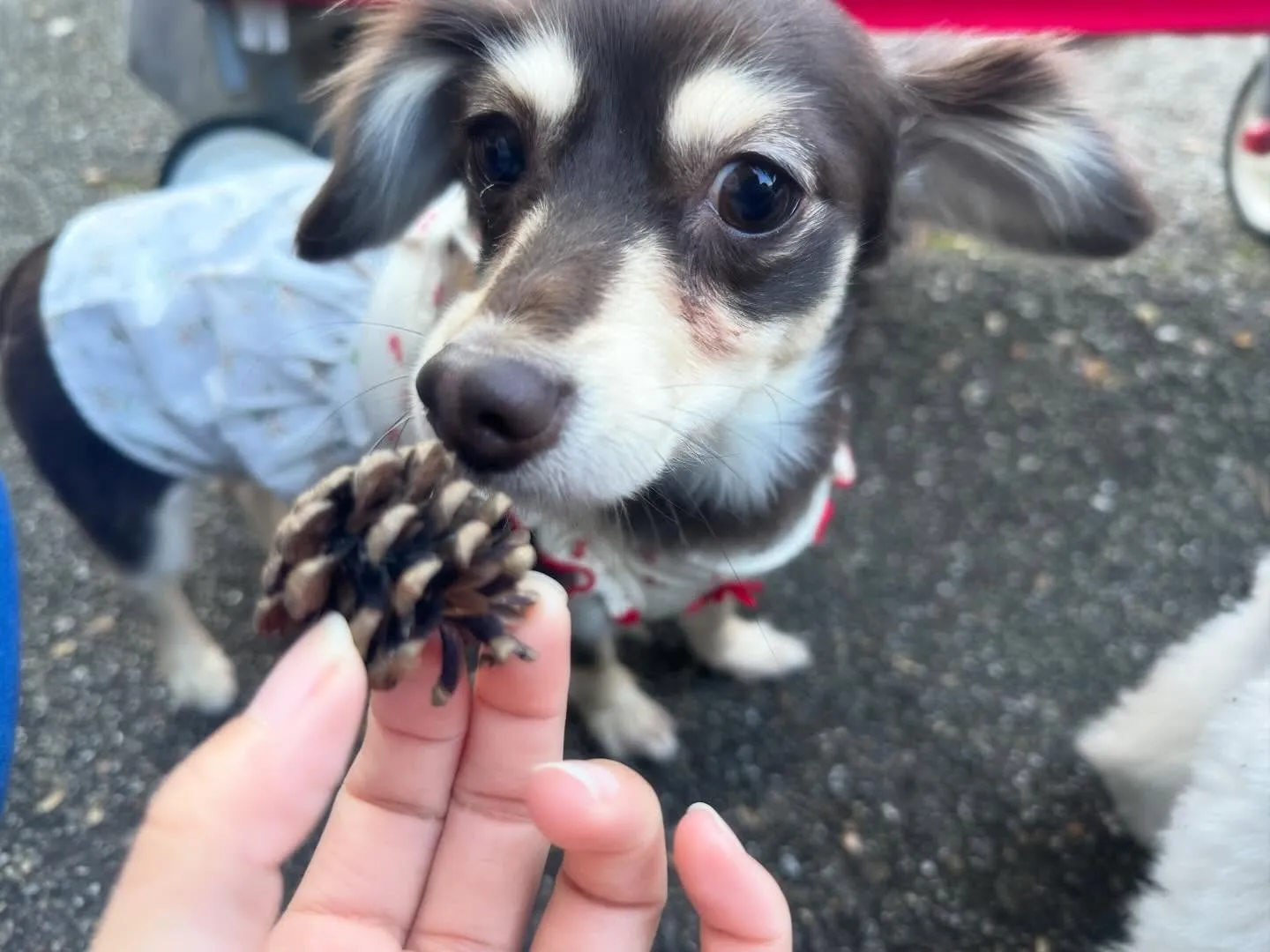 遅くなってしまったけど、、