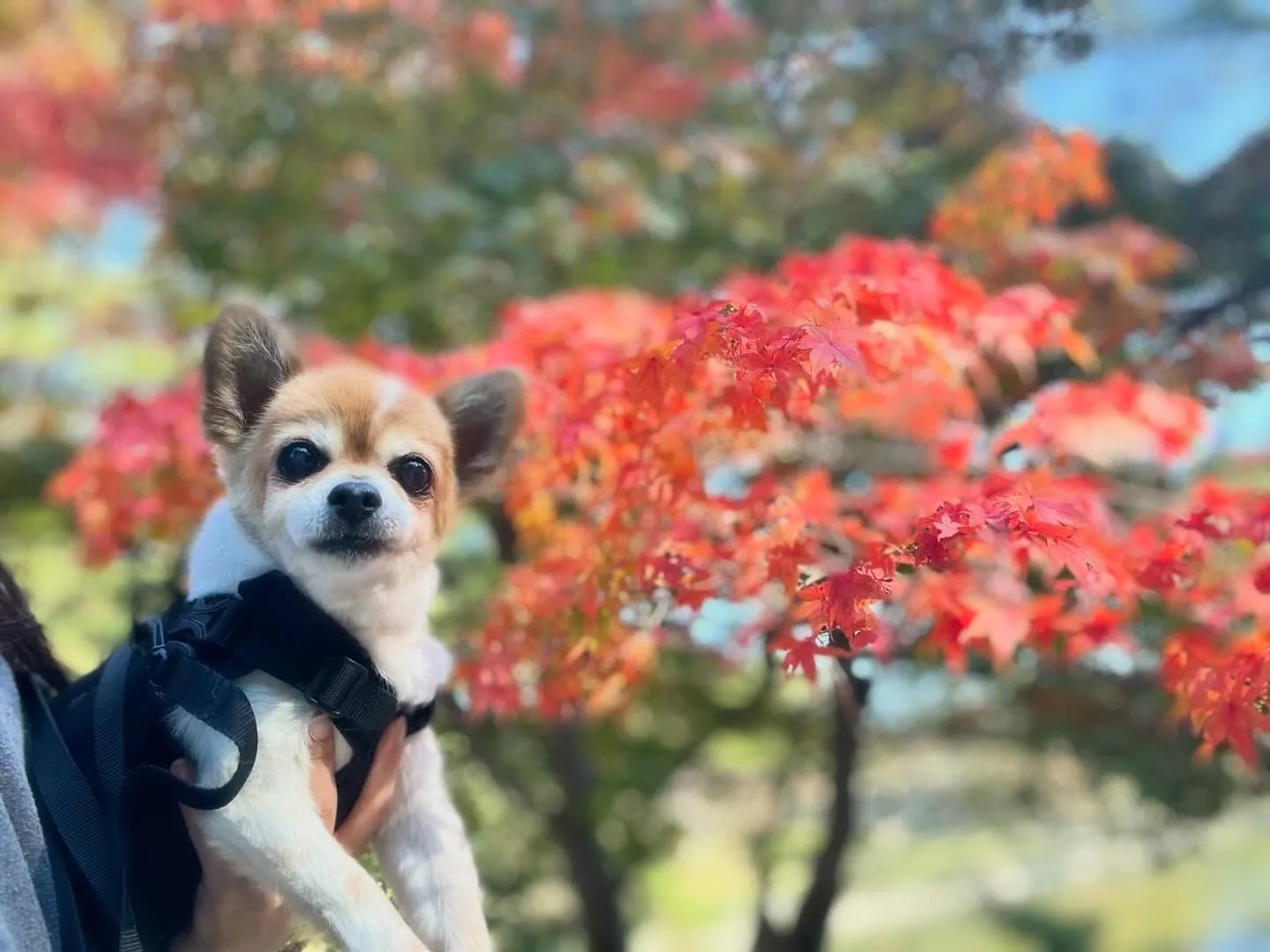 遅くなってしまったけど、、