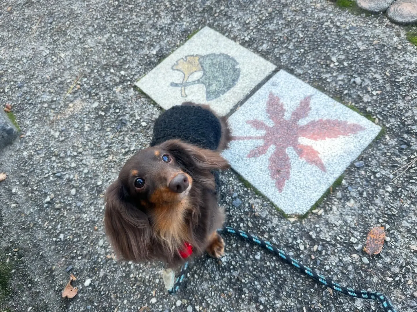 遅くなってしまったけど、、