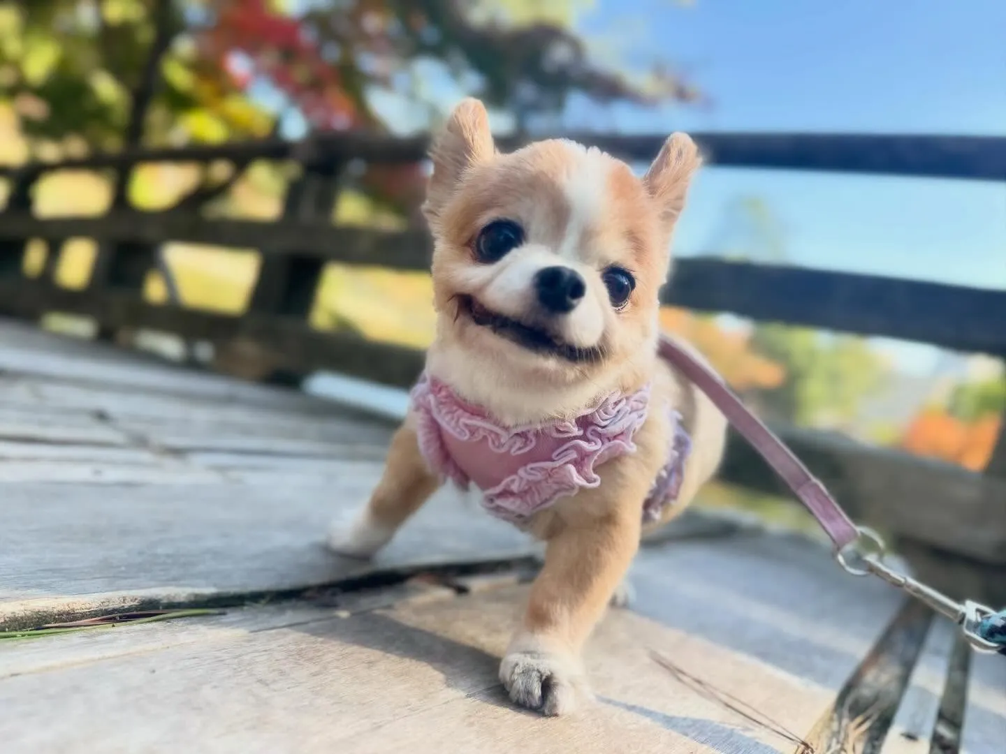 遅くなってしまったけど、、