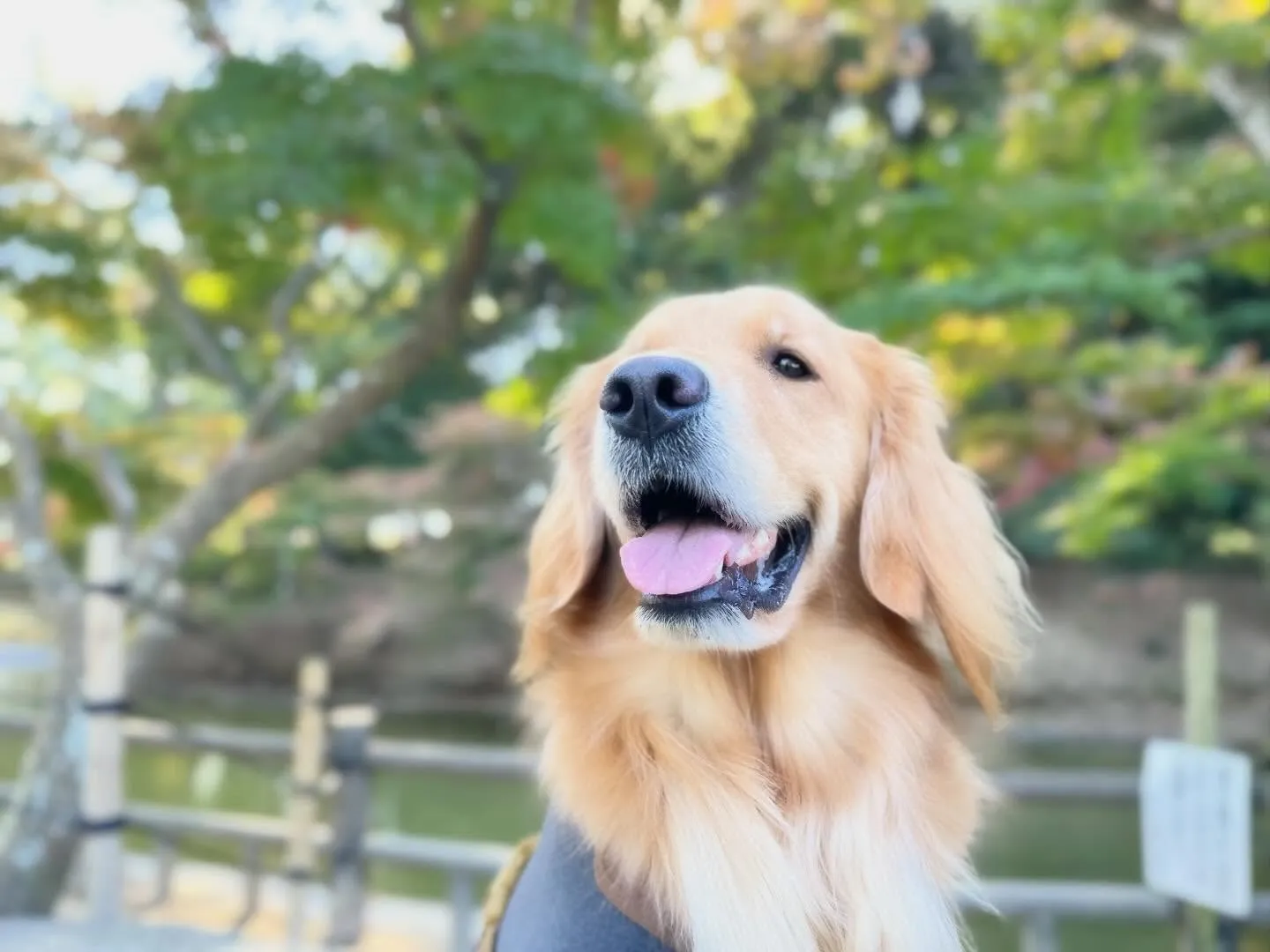 遅くなってしまったけど、、