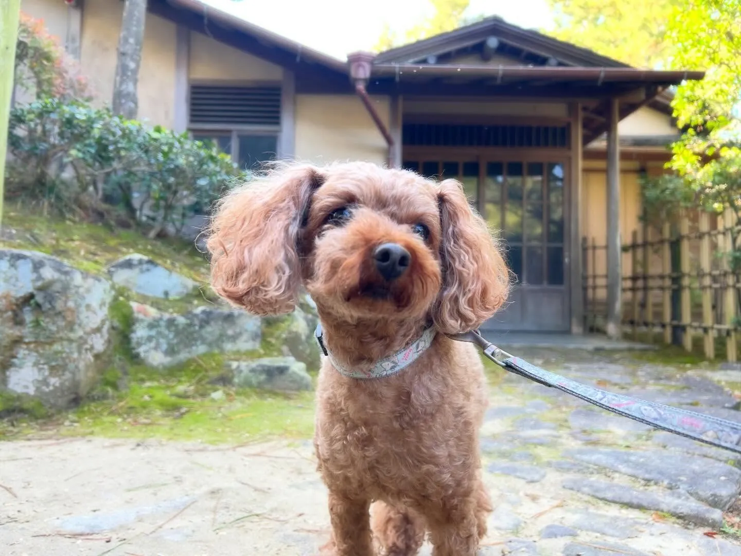 遅くなってしまったけど、、