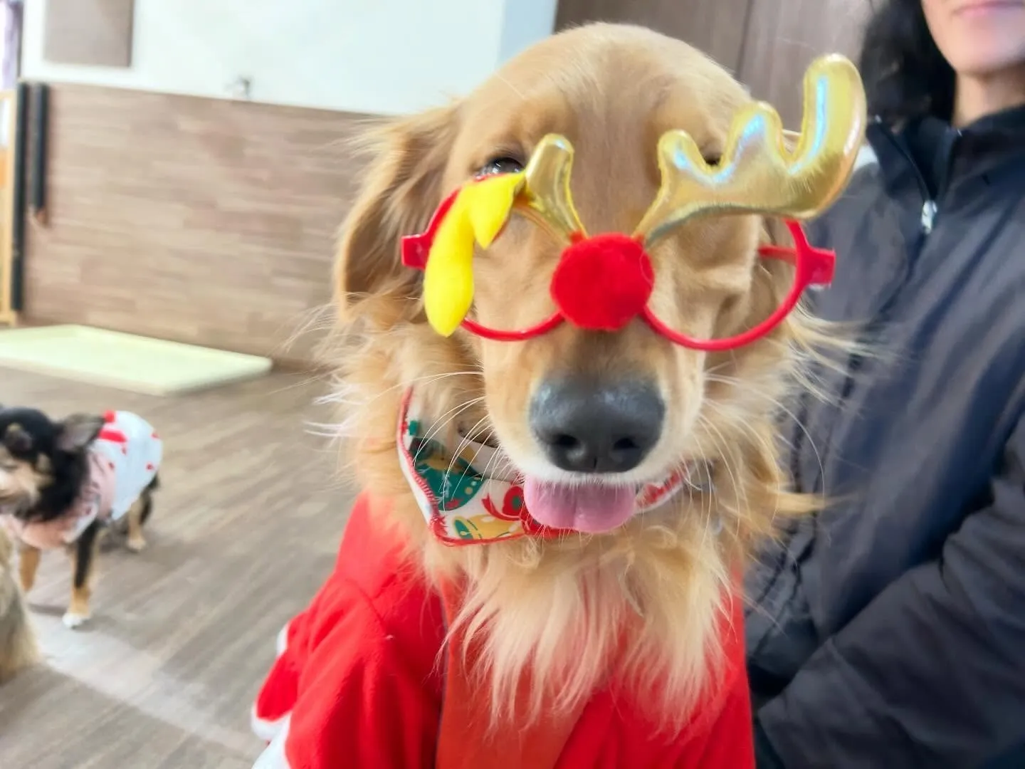 【クリスマスイベント予約受付開始のお知らせ】