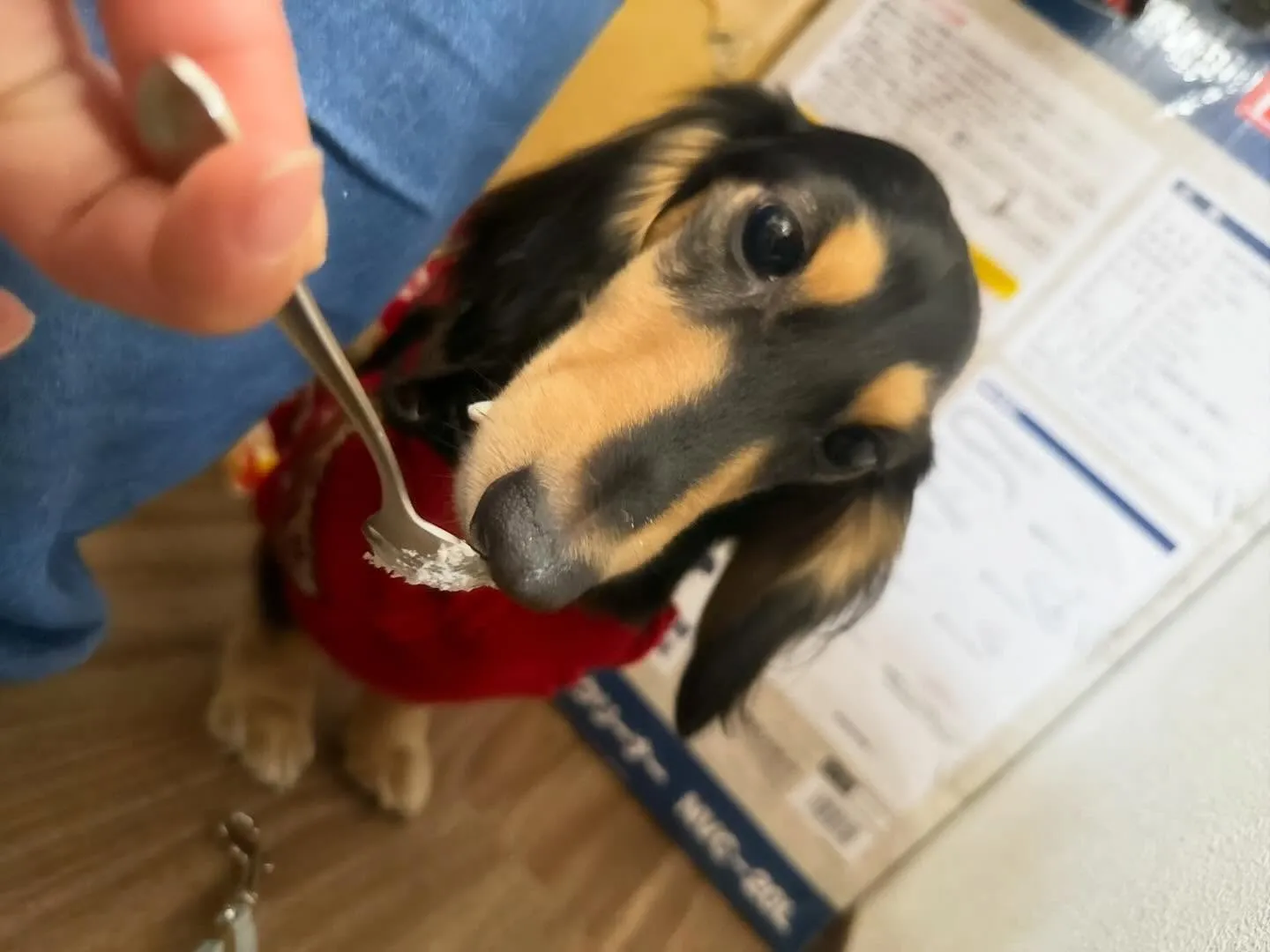 【クリスマスイベント予約受付開始のお知らせ】