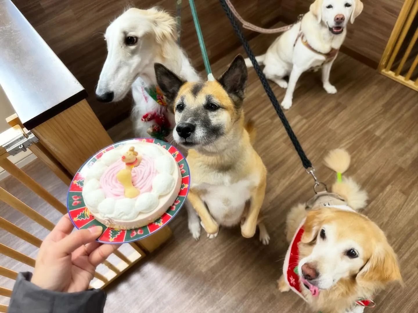 【クリスマスイベント予約受付開始のお知らせ】