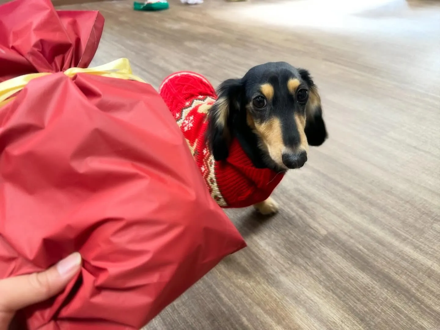 【クリスマスイベント予約受付開始のお知らせ】