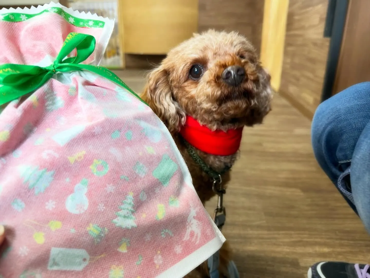 【クリスマスイベント予約受付開始のお知らせ】