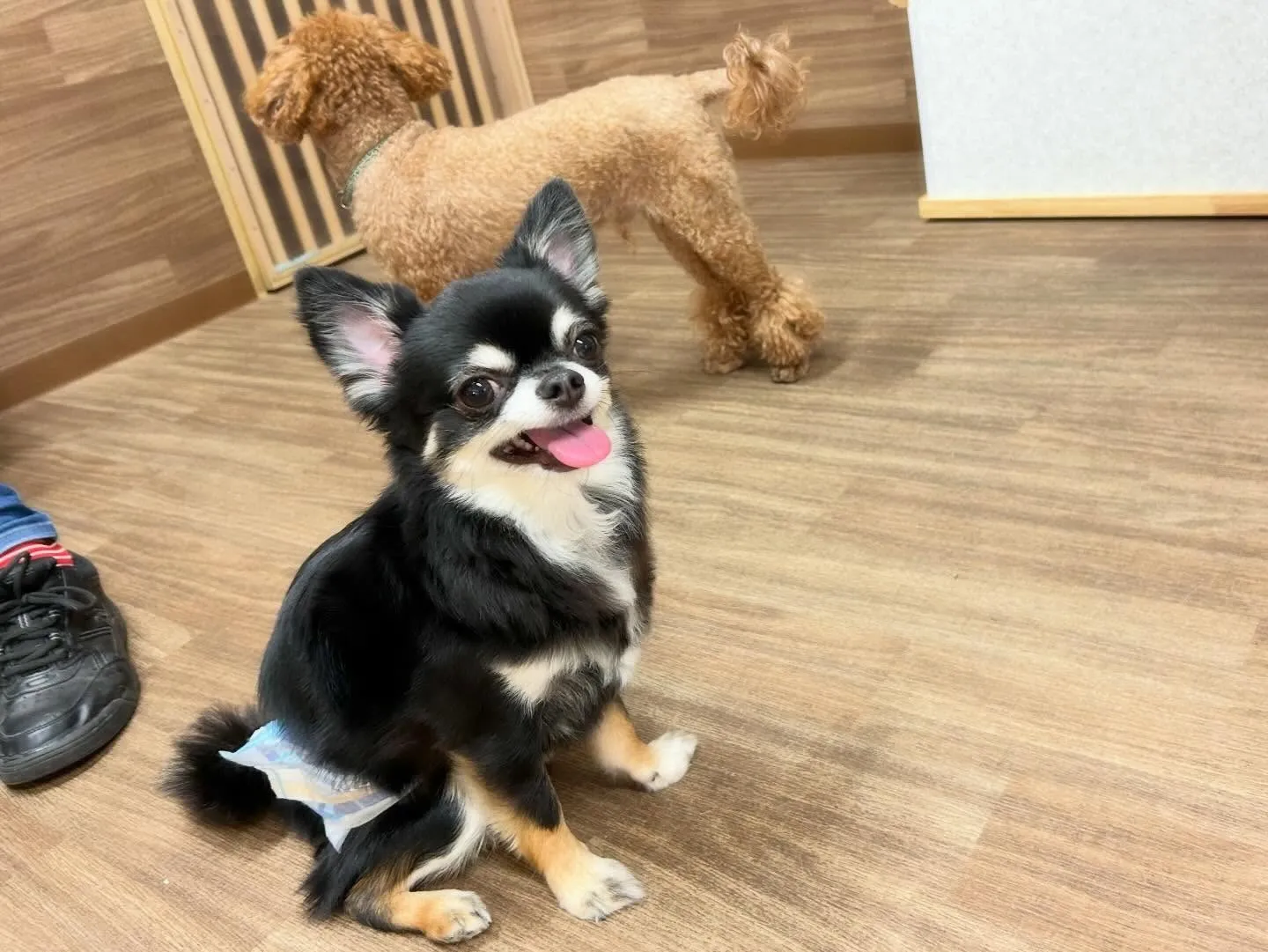 【クリスマスイベント 予約受付終了のお知らせ】