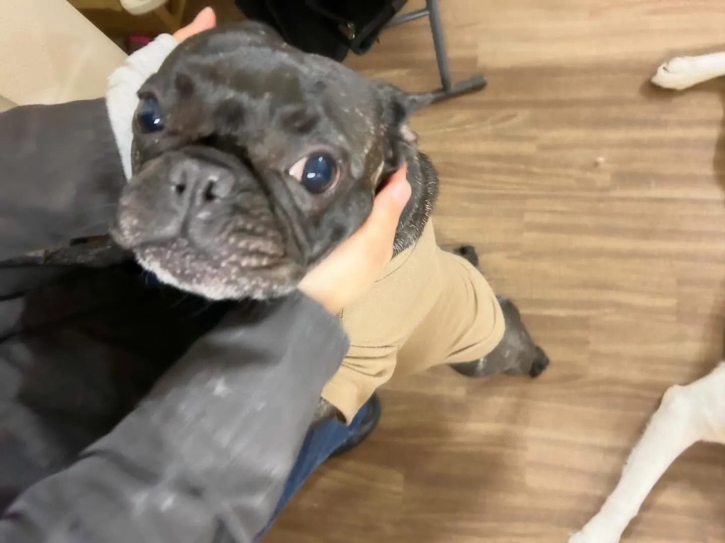 【クリスマスイベント 予約受付終了のお知らせ】