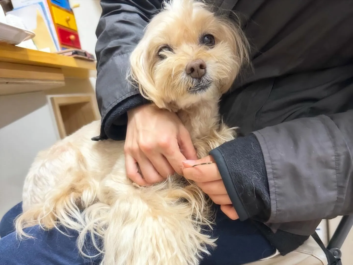 【クリスマスイベント 予約受付終了のお知らせ】