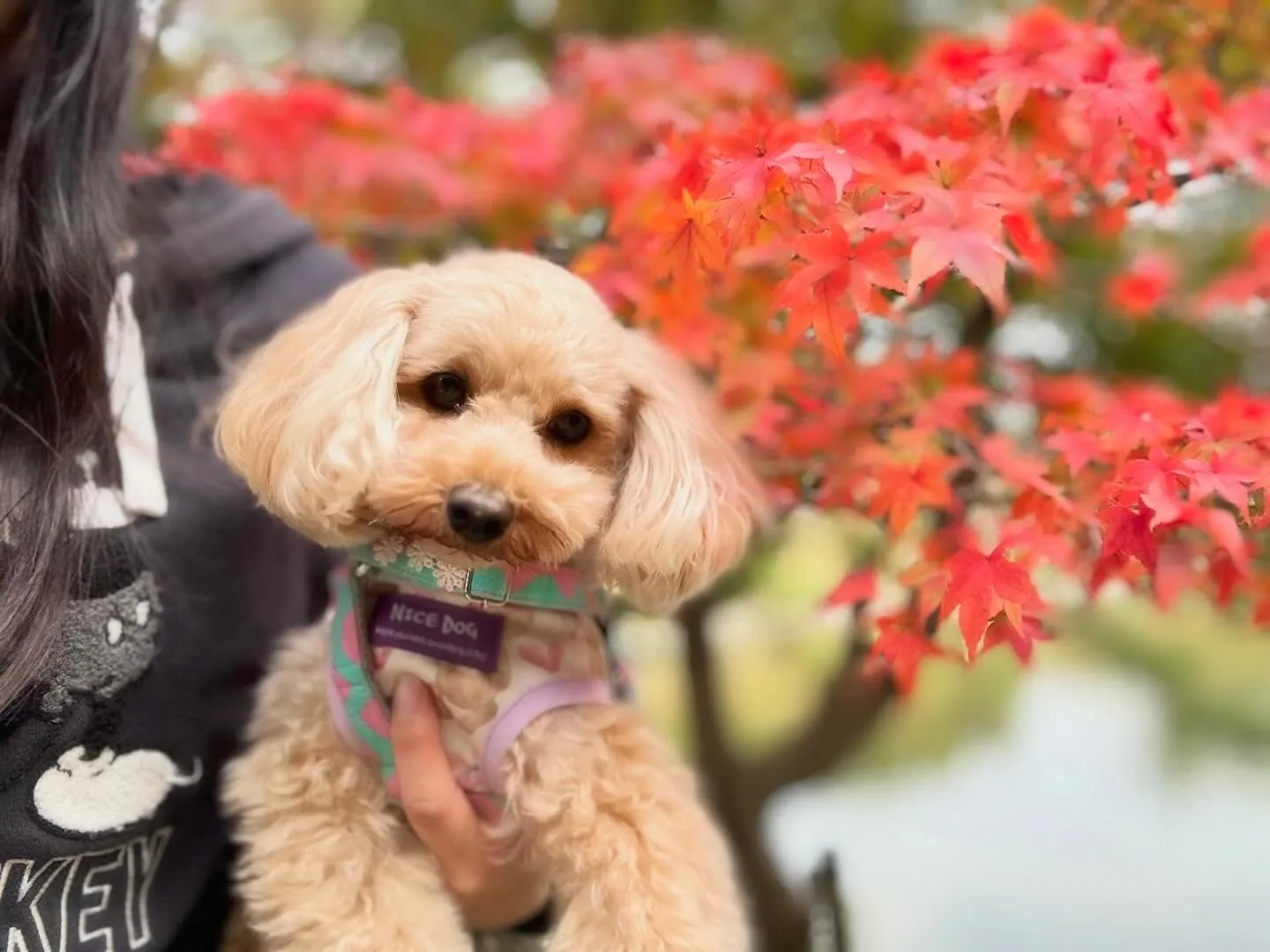 遠足イベント1日目のアルバムが全員分完成しました🎶