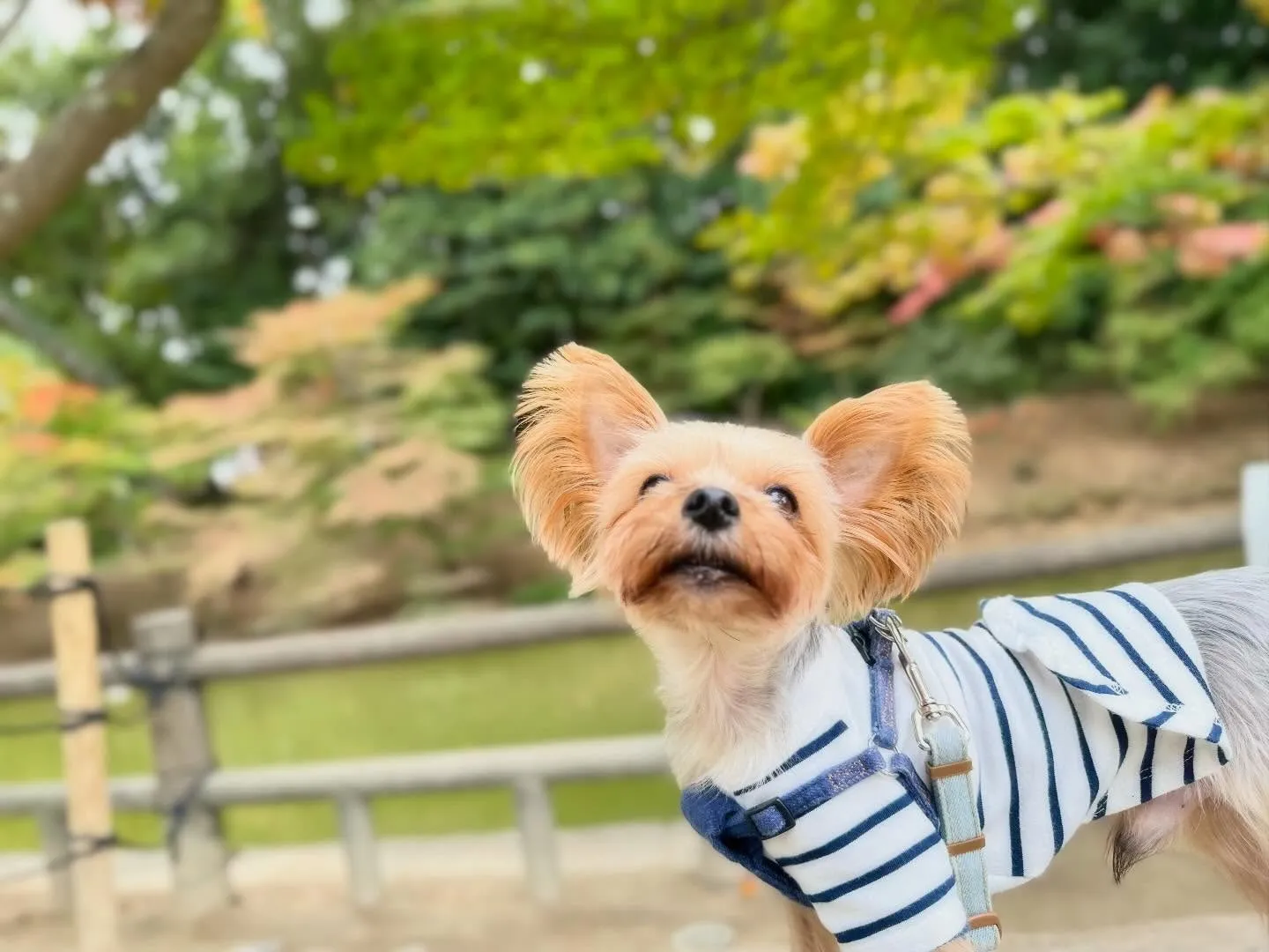 遠足イベント1日目のアルバムが全員分完成しました🎶