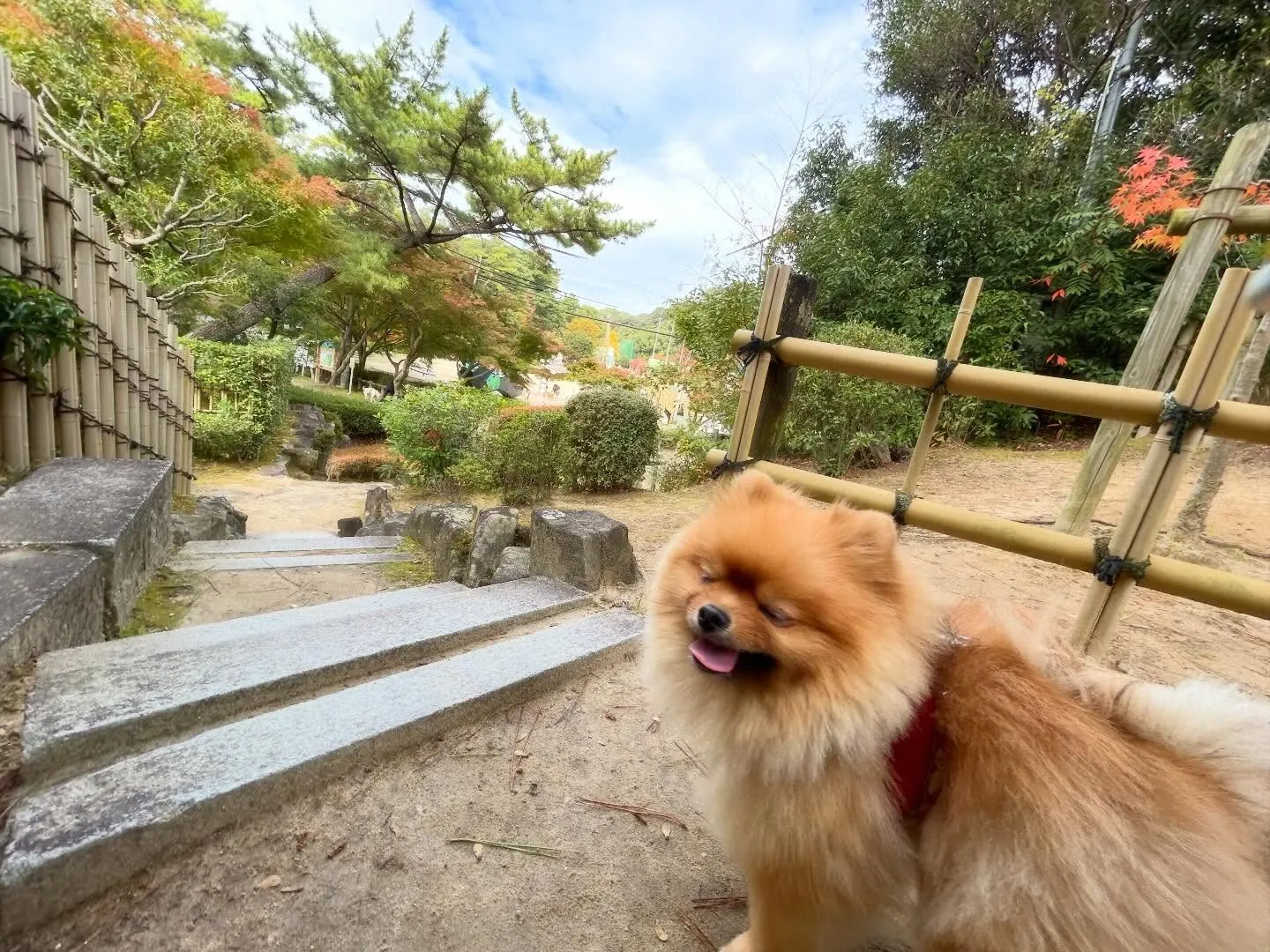 遠足イベント1日目のアルバムが全員分完成しました🎶