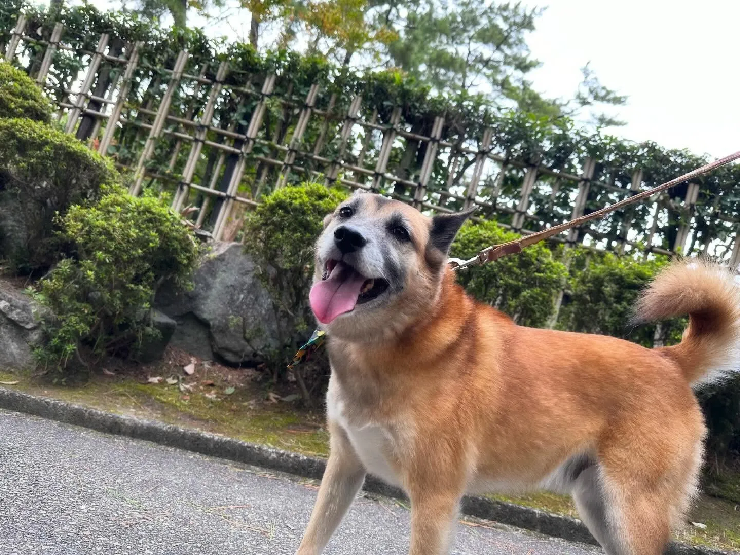 遠足イベント1日目のアルバムが全員分完成しました🎶