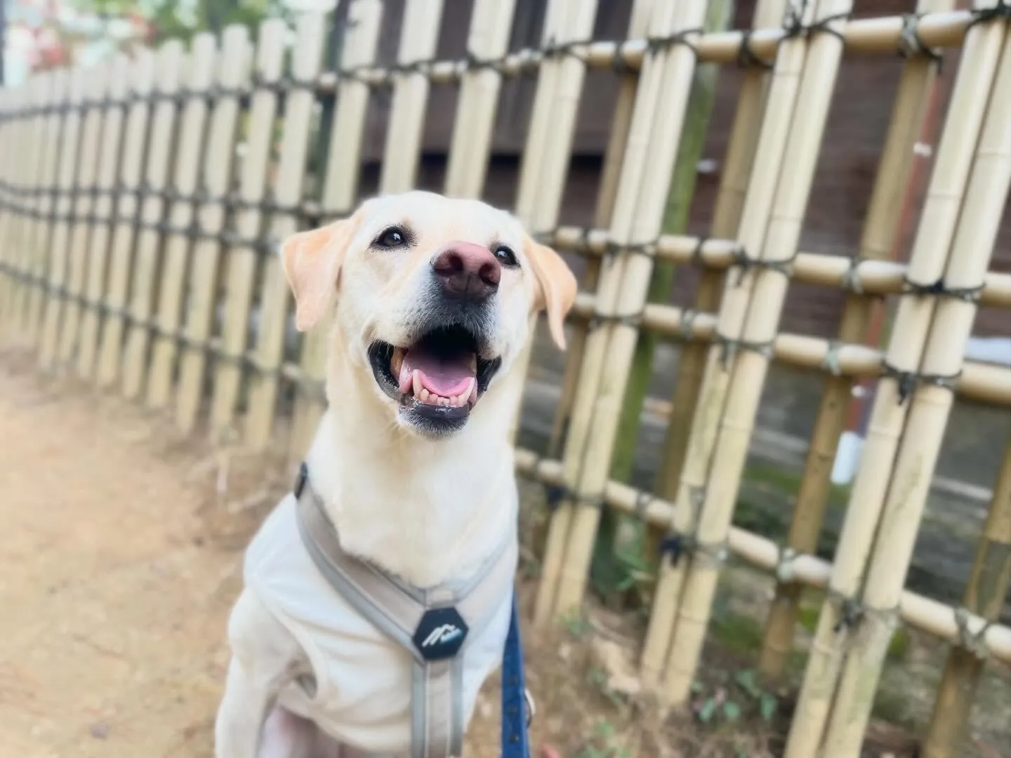 遠足イベント1日目のアルバムが全員分完成しました🎶