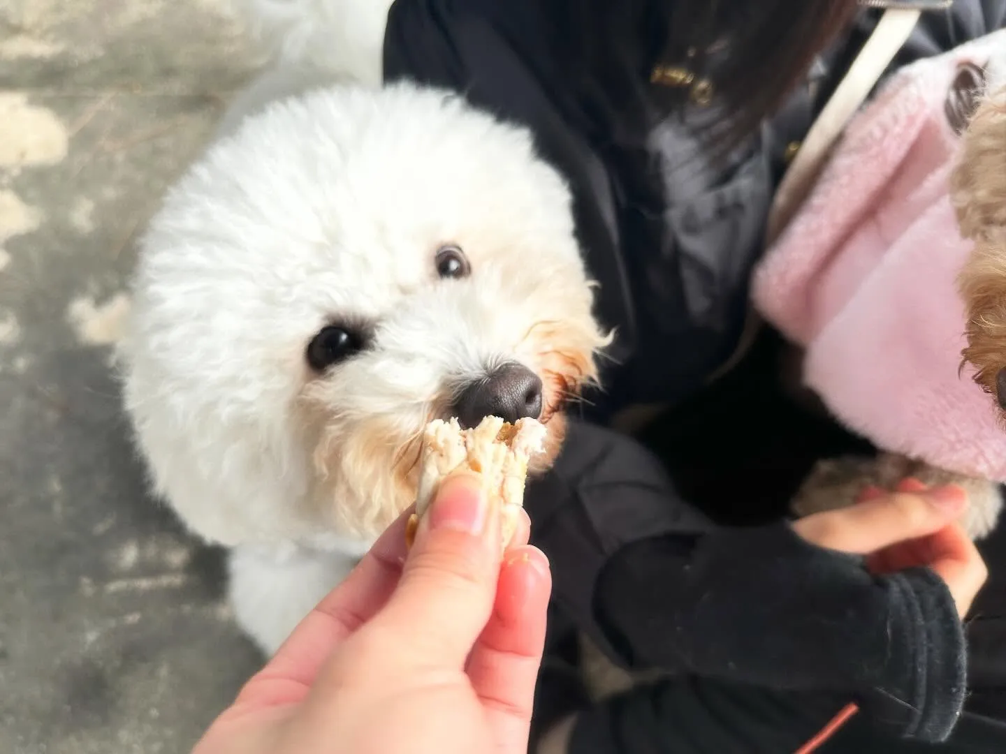 遠足イベント1日目のアルバムが全員分完成しました🎶