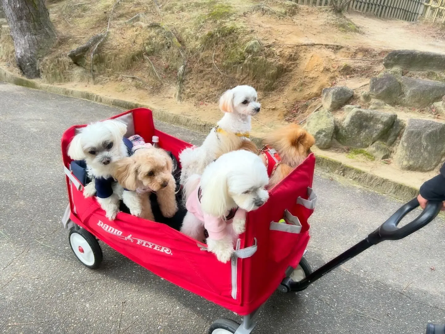 遠足イベント1日目のアルバムが全員分完成しました🎶