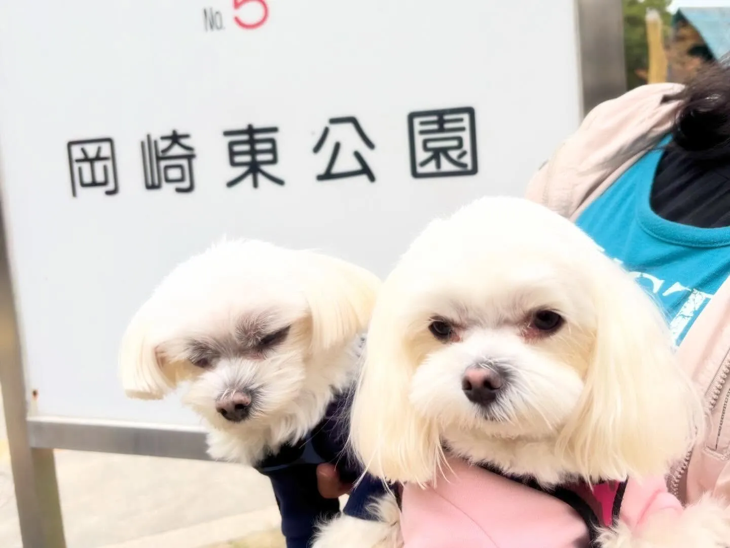 遠足イベント1日目のアルバムが全員分完成しました🎶