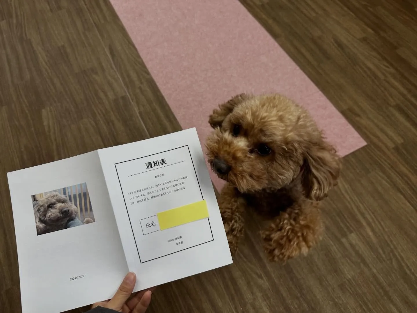 【年納めイベント予約受付開始のお知らせ】