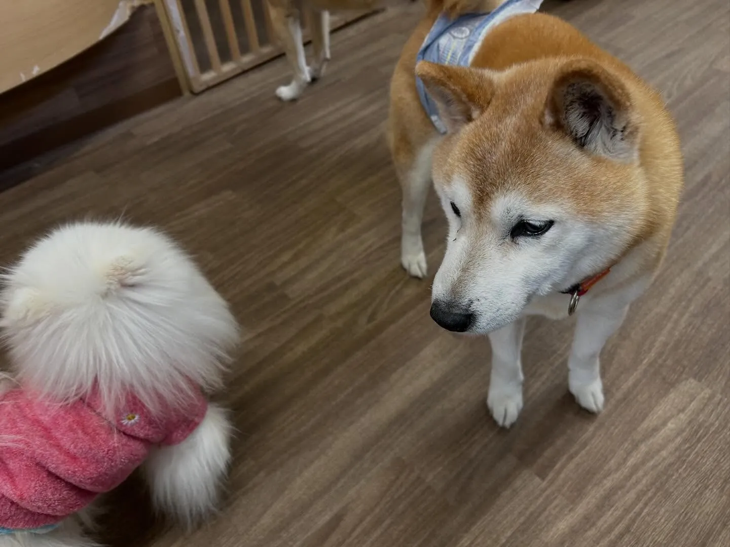 【年納めイベント予約受付開始のお知らせ】