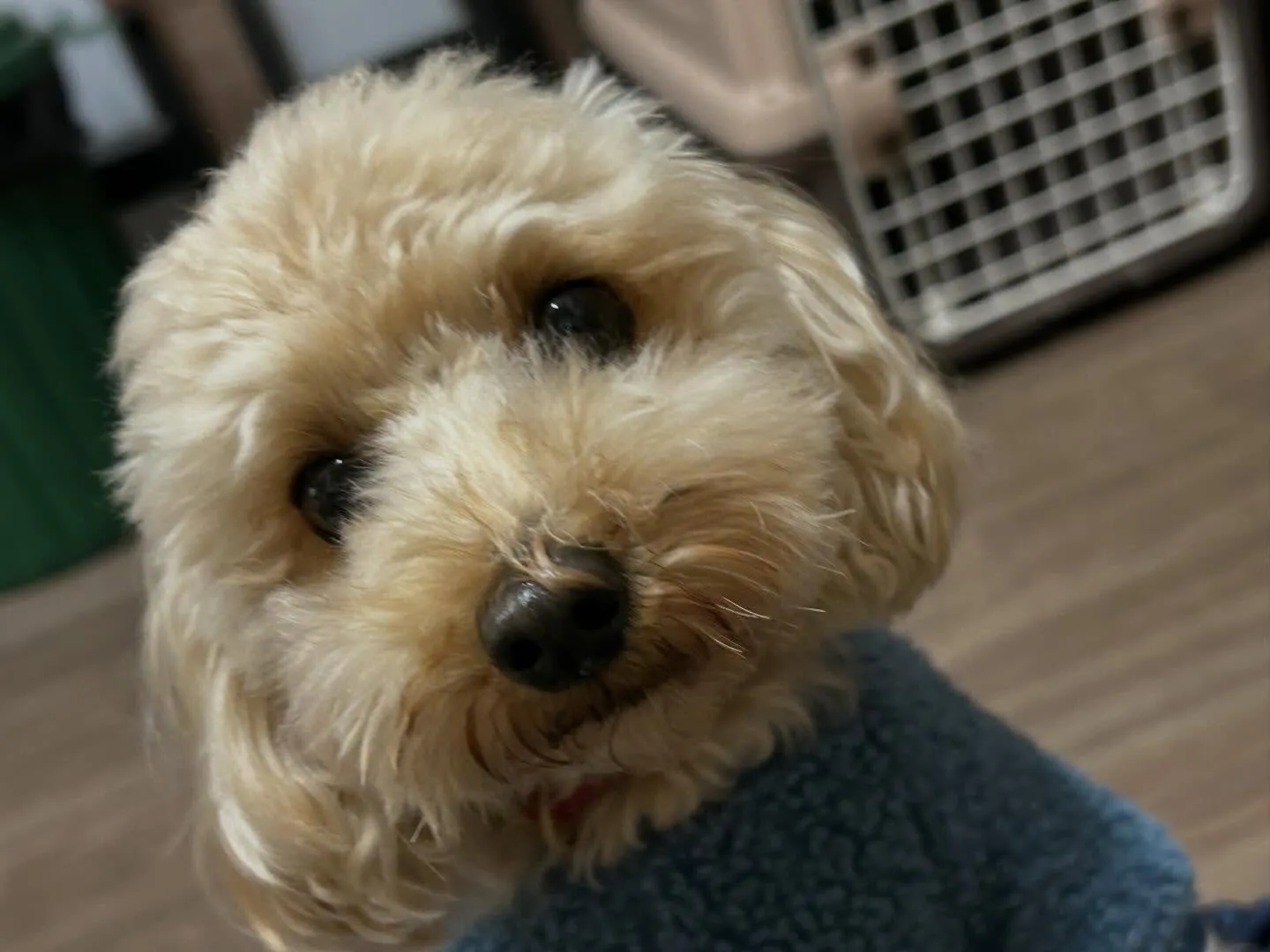 【年納めイベント予約受付開始のお知らせ】