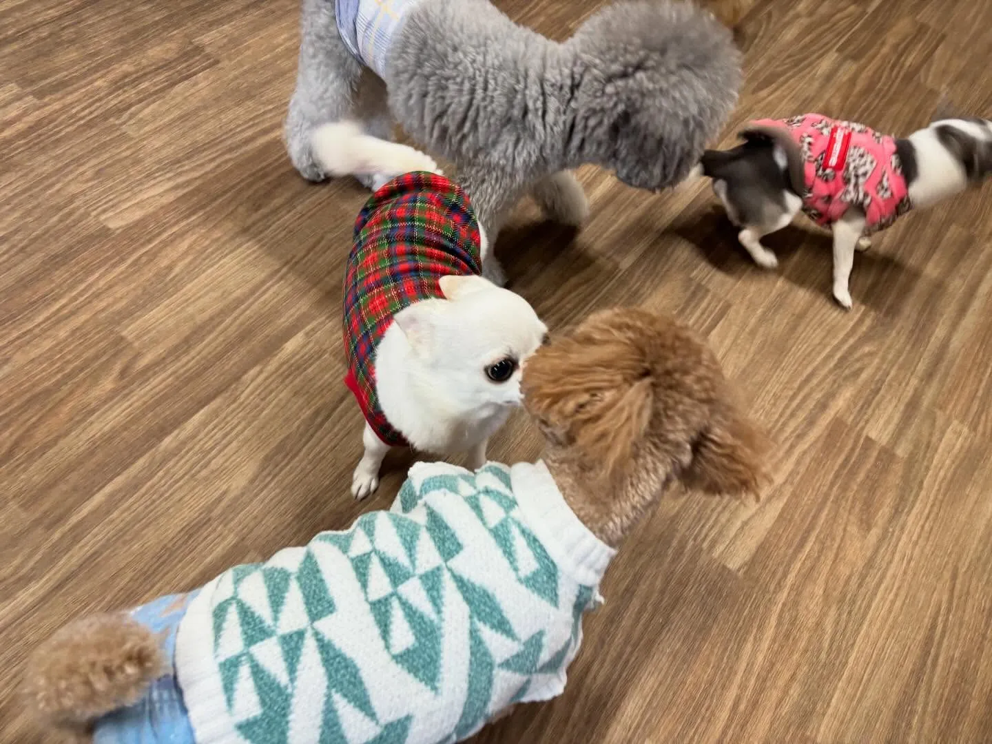 【年納めイベント予約受付開始のお知らせ】