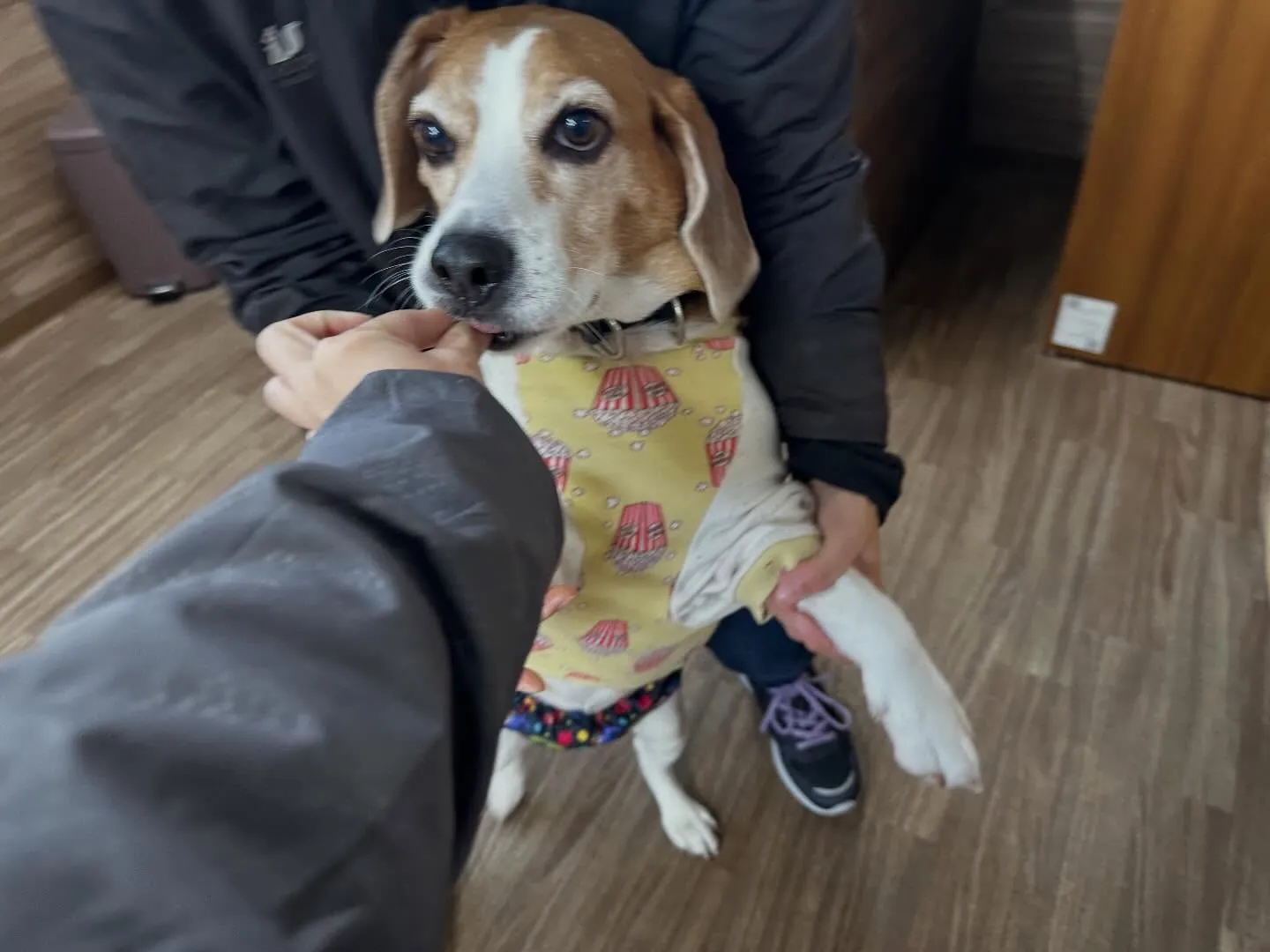 【年納めイベント予約受付開始のお知らせ】