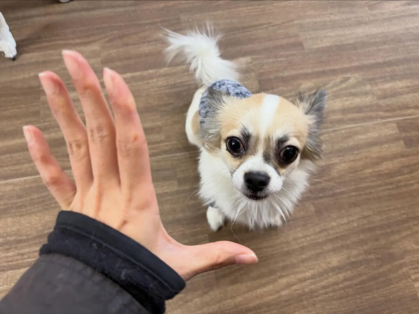 【年納めイベント予約受付開始のお知らせ】